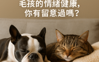 what your pet's emotional health matters too.